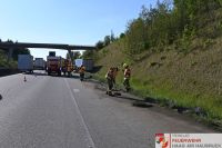 _2025-05-12 Ölaustritt A8 FR Suben Km 47_DSC_0244 (11)